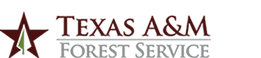 Texas Forest Service logo