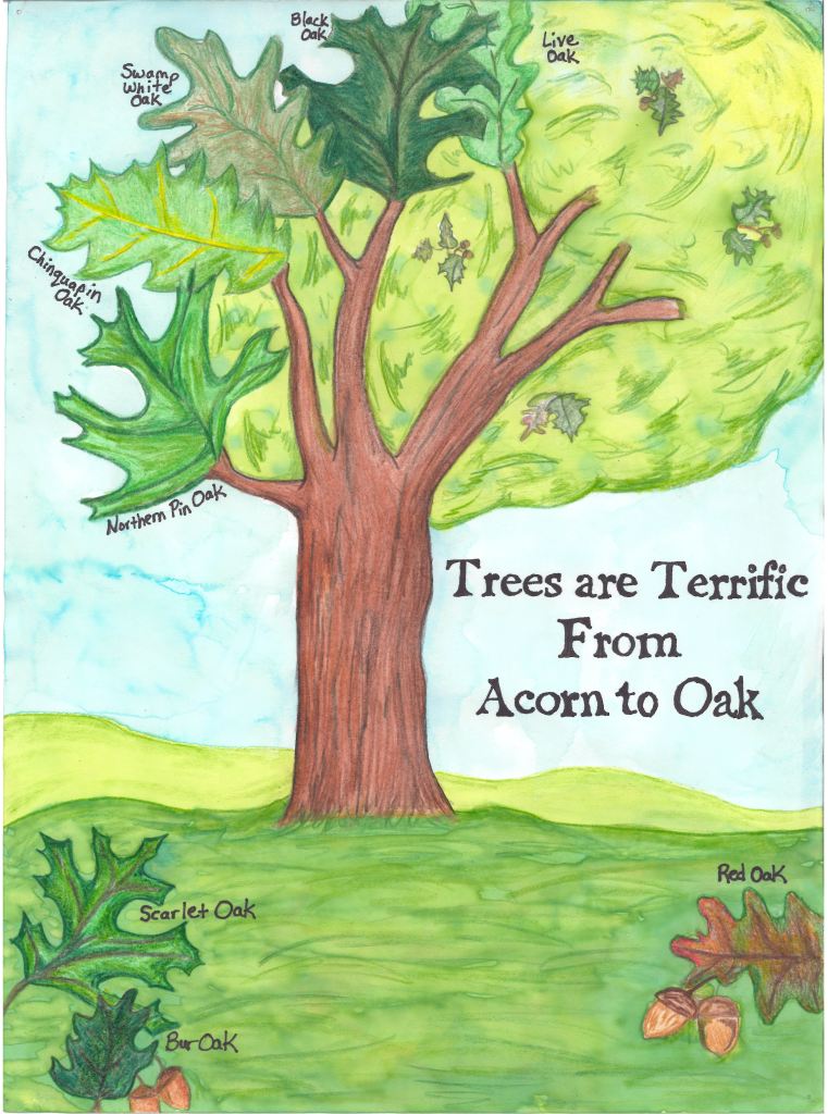 Texas Arbor Day Poster Winner 2012