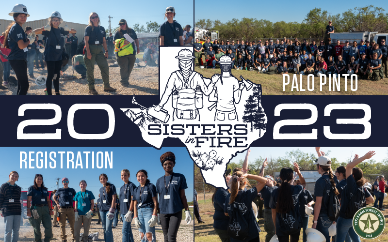 Sisters in Fire 2023 Event