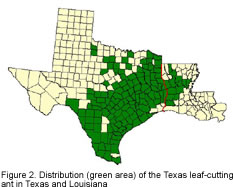A map of Texas showing Distribution areas