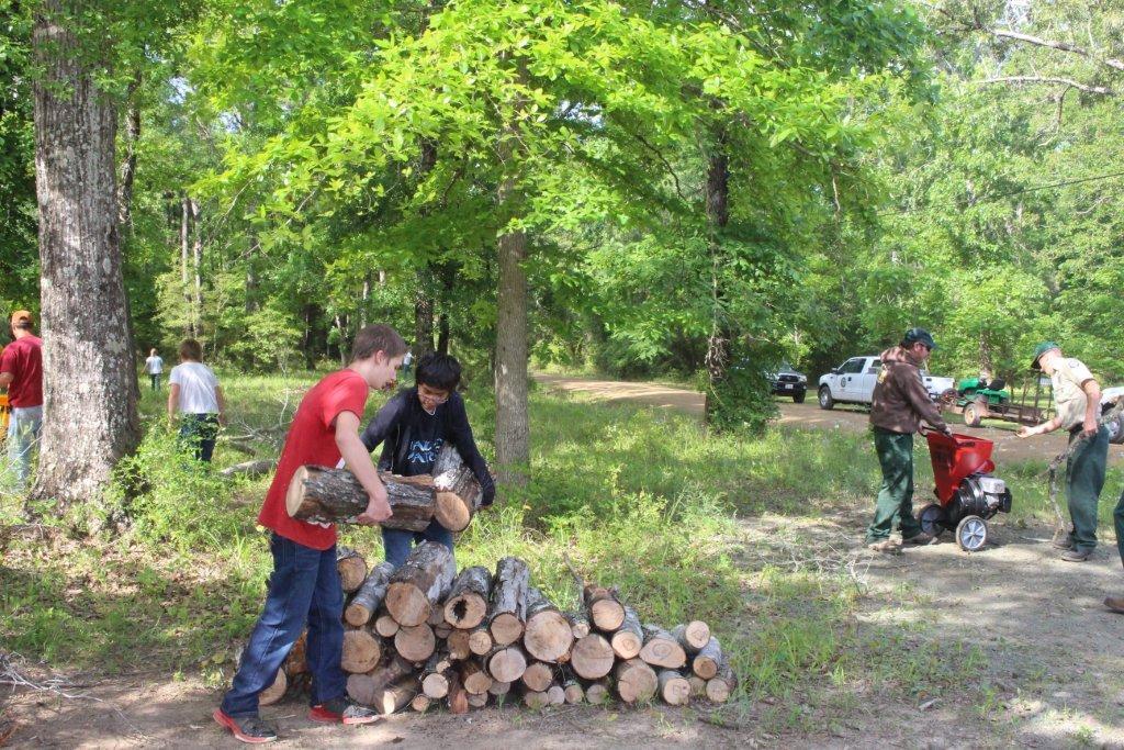 Two men stacking firewood while other people work in the woods surrounding them.
