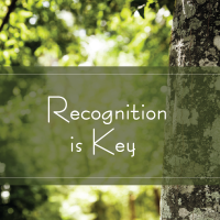 Recognition is Key by TAK